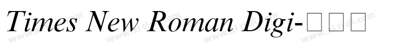 Times New Roman Digi字体转换